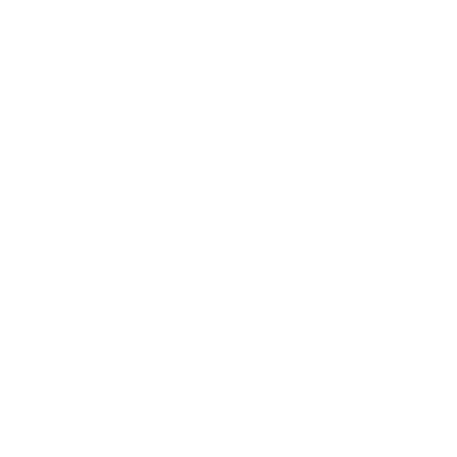 500+ Projects Completed